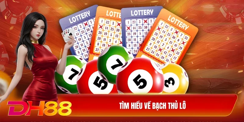 DH88 soi cầu bạch thủ lô Tìm hiểu về bạch thủ lô
